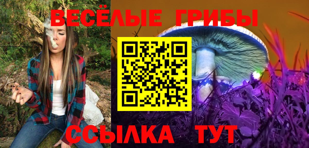 Псилоцибиновые грибы прущие грибы Великий Новгород