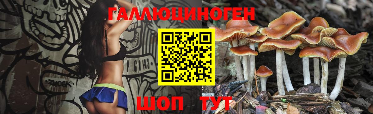 Псилоцибиновые грибы Psilocybine cubensis  Галлюциногенные грибы Psilocybine cubensis  где можно купить   Великий Новгород  Вход с VPN 